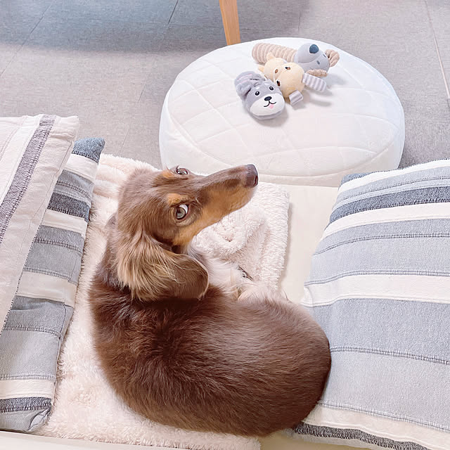 rinoさんの実例写真