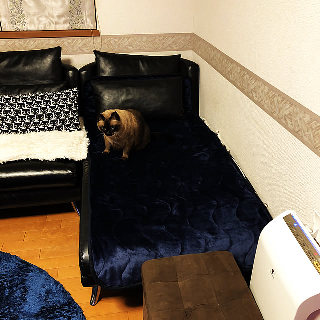 akinao2309さんの実例写真