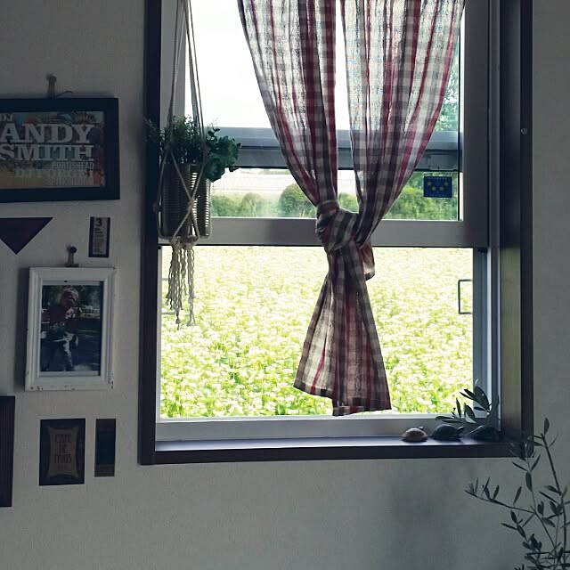 ninoさんの実例写真
