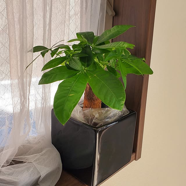 muku+maroさんの部屋