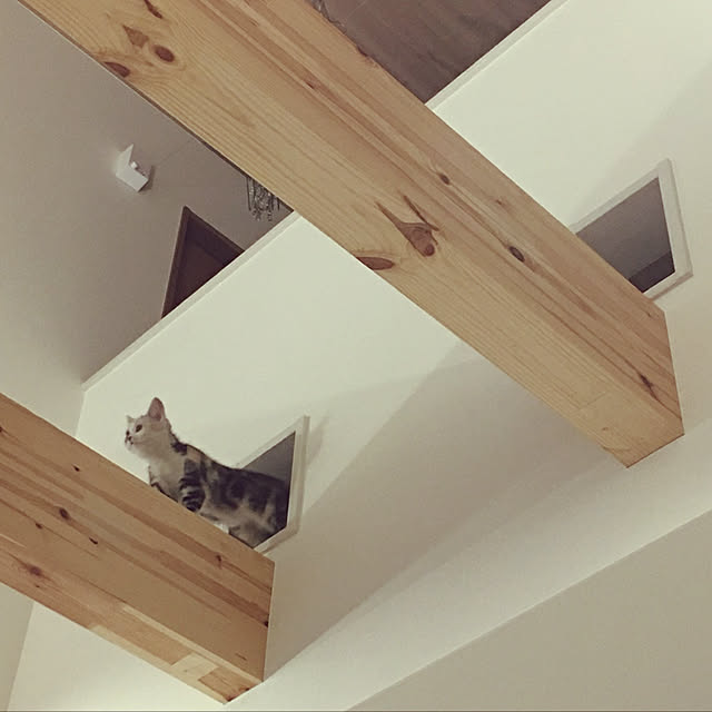 mikkumikuさんの実例写真