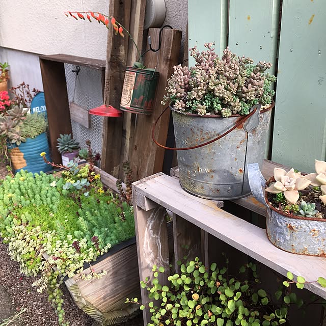 yukkaさんの実例写真