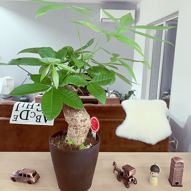 wpp8181さんの実例写真