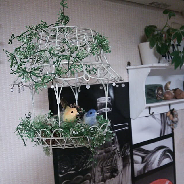 noriさんの実例写真