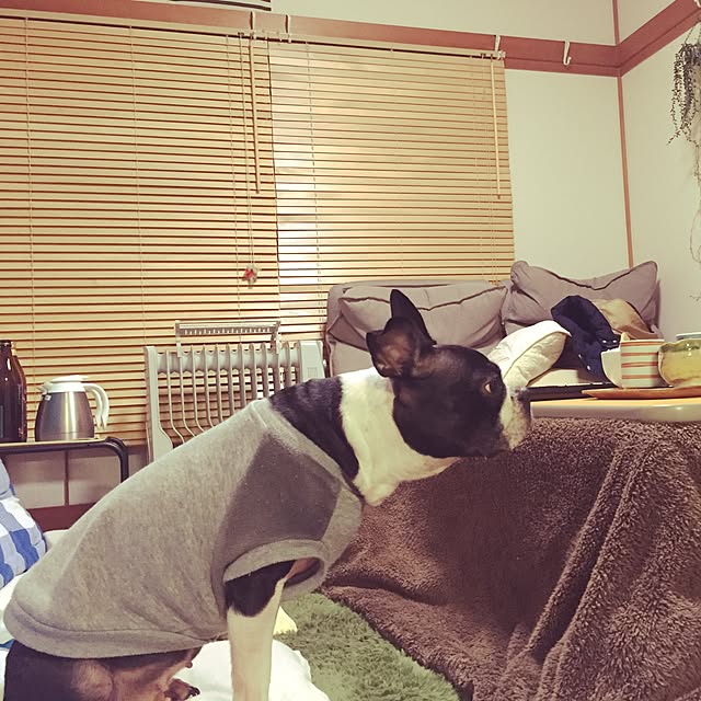 na2nuraumeさんの実例写真
