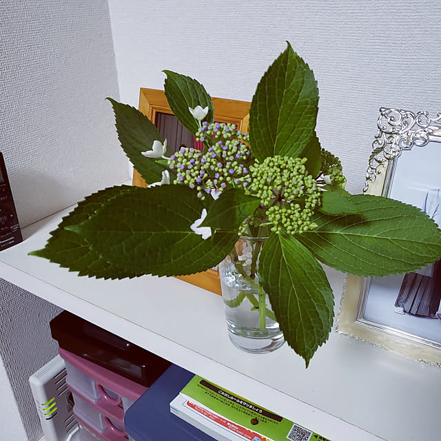 m345さんの実例写真