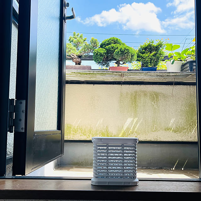 shunrikoさんの実例写真