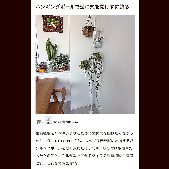 kokedamaさんの実例写真