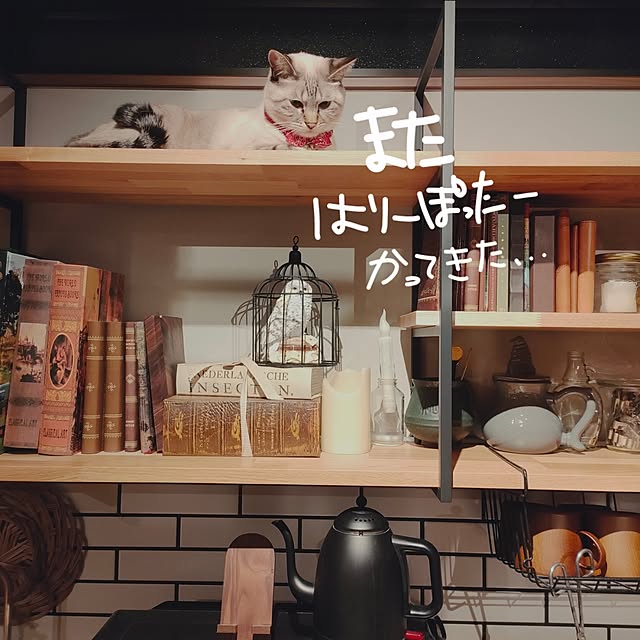 Atelier_tamakiさんの部屋