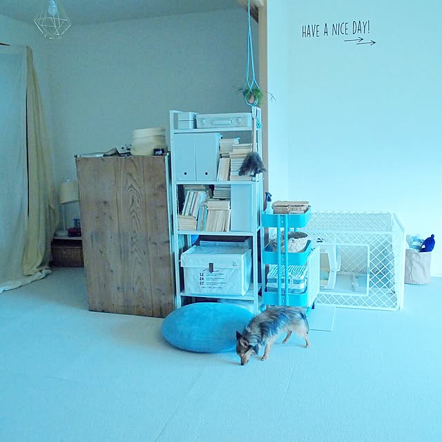 inariさんの実例写真