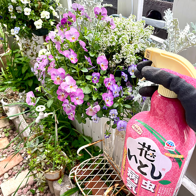 asako.10さんの部屋