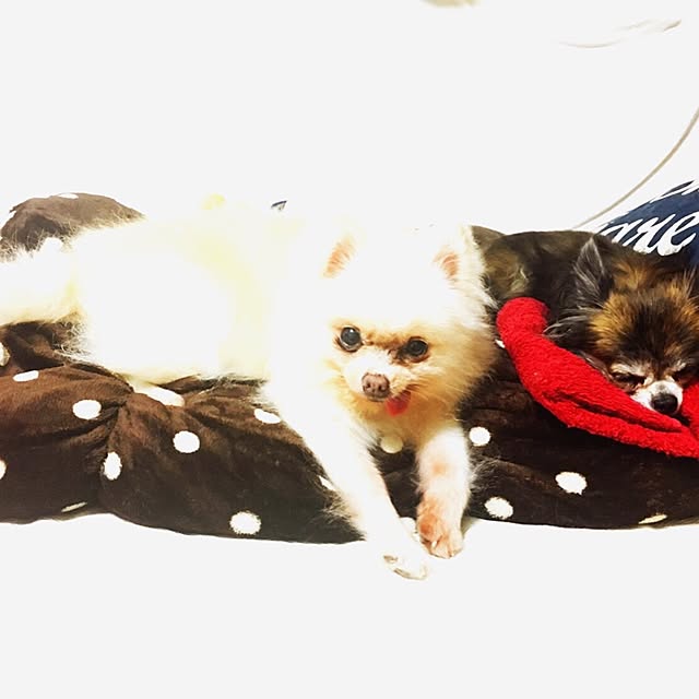 mmmyumさんの実例写真