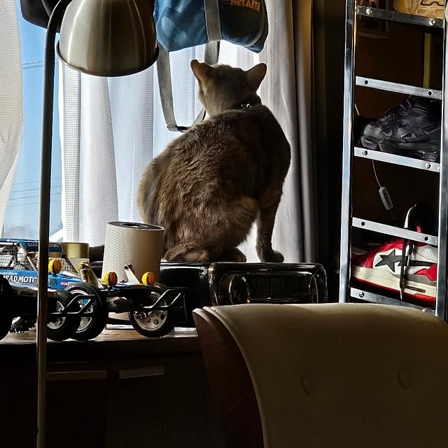 fuchan0930さんの部屋