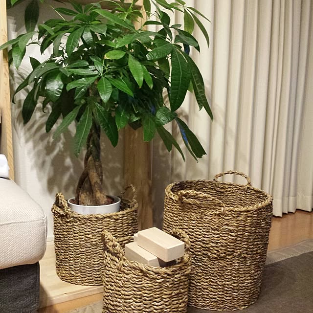 masarinn.さんの実例写真