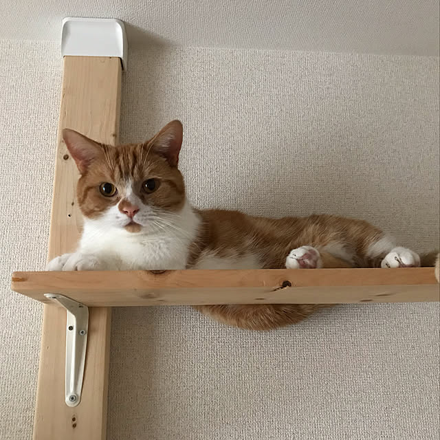 maruさんの実例写真