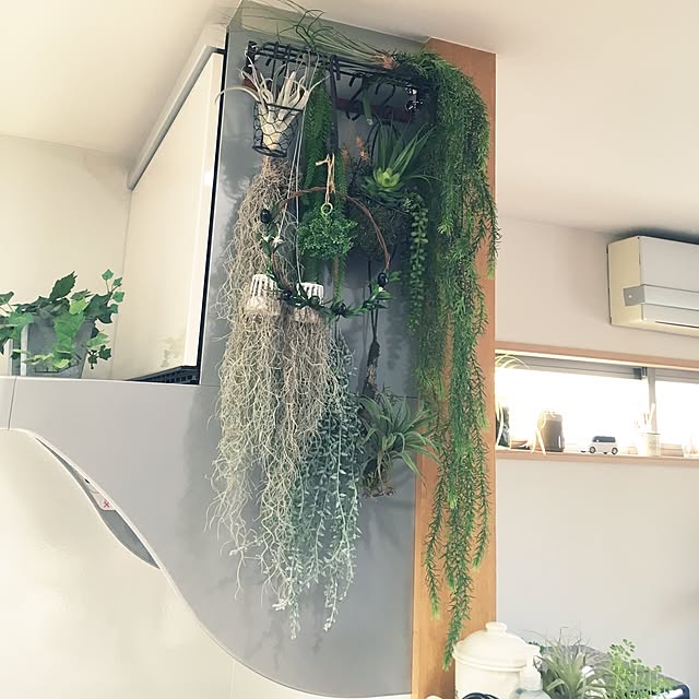 実例写真