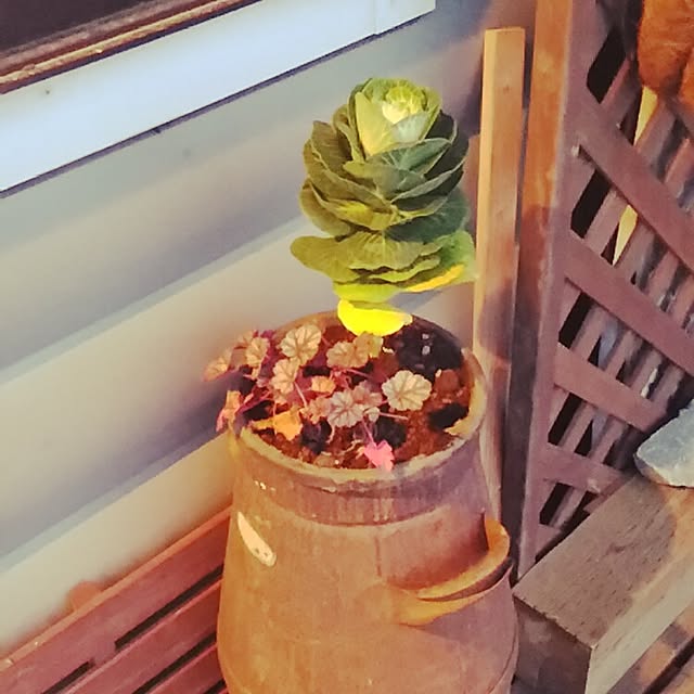 tsumugi_gardenさんの実例写真