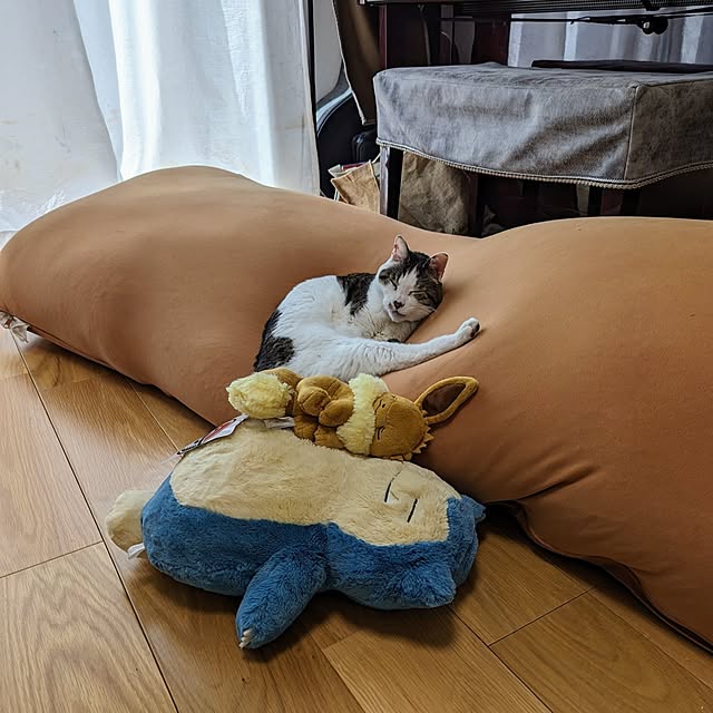 tomatopapaさんの実例写真