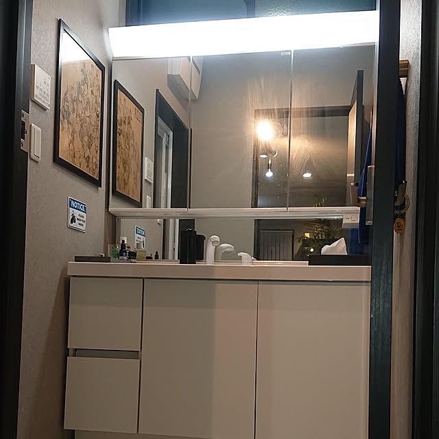 iegomori0621さんの実例写真
