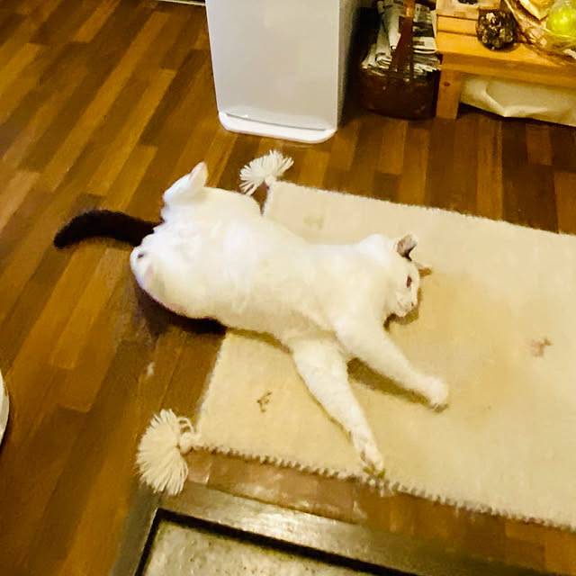 YUKAさんの部屋