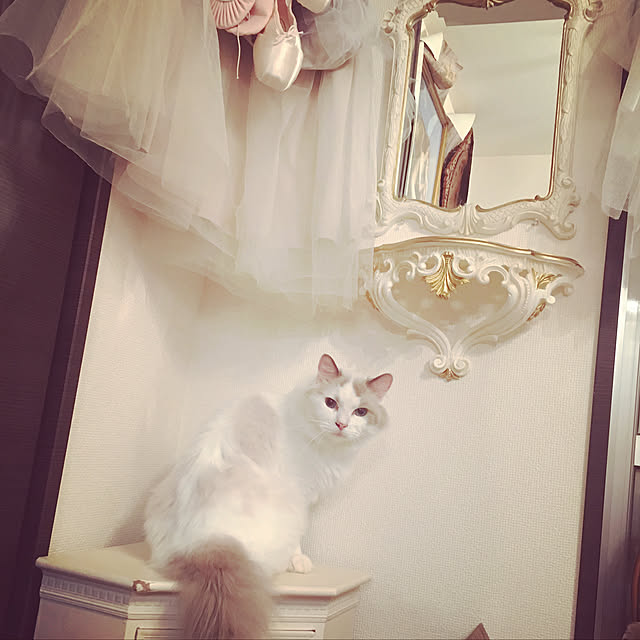 Moncheriさんの実例写真