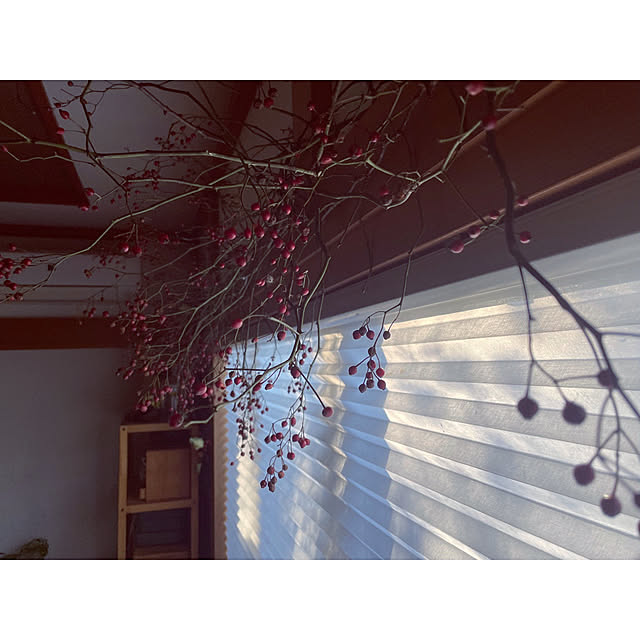 marucoさんの部屋