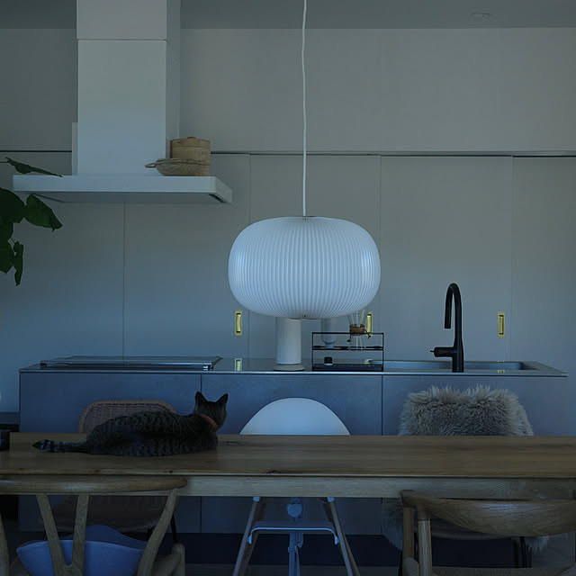 ______tnoieさんの実例写真