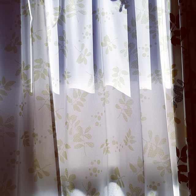 mayaさんの実例写真