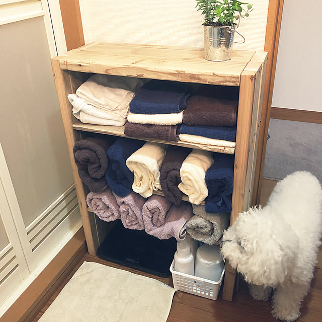 Cokiaさんの実例写真