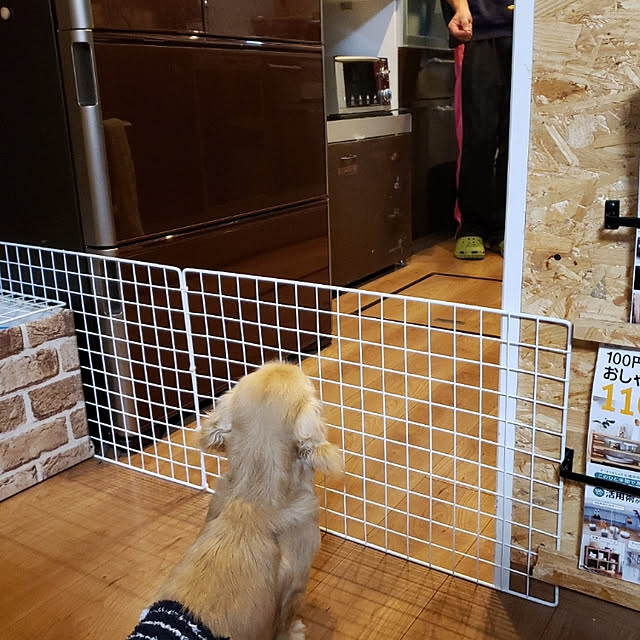 ciiiさんの実例写真