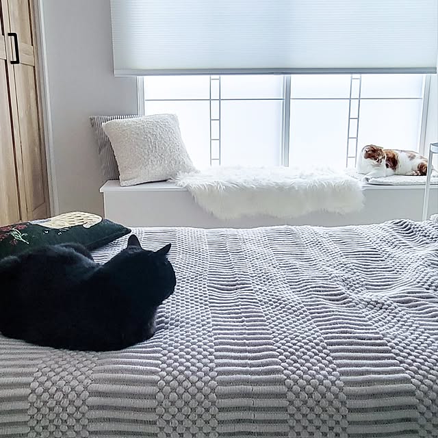 mikiさんの部屋