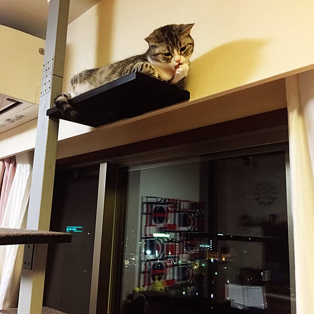 Shojiさんの実例写真