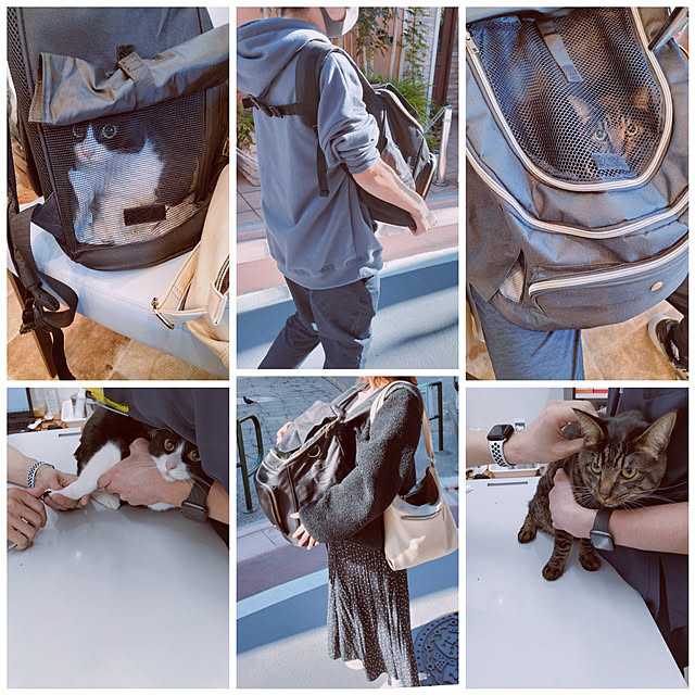hihaさんの実例写真