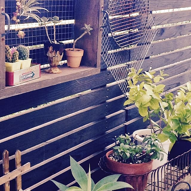 玄関/入り口/植物/観葉植物/DIY/男前のインテリア実例 - 2014-12-26 21:52:14