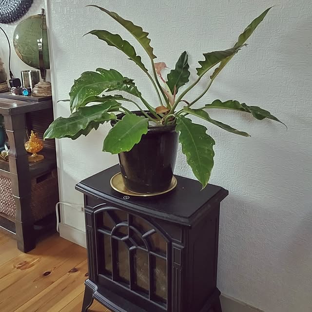rieさんの部屋
