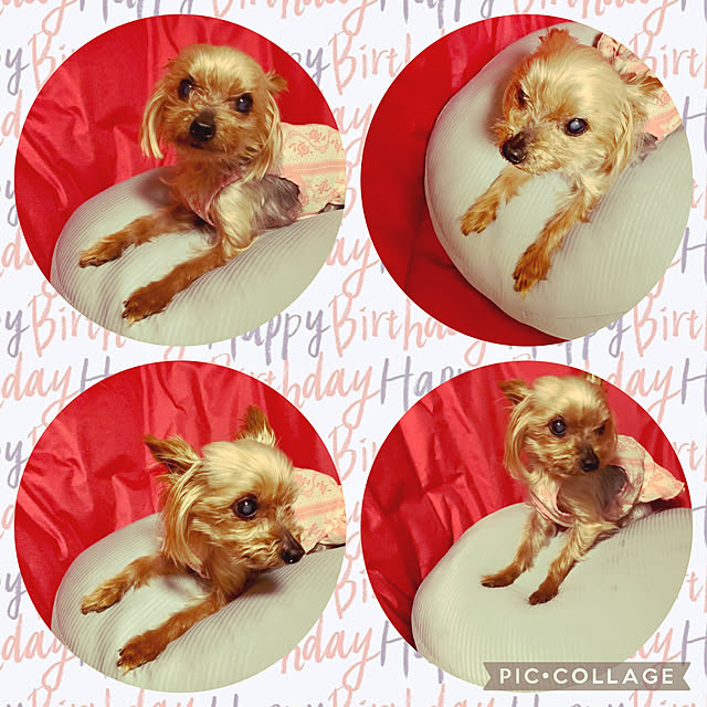 CoCo0617さんの実例写真