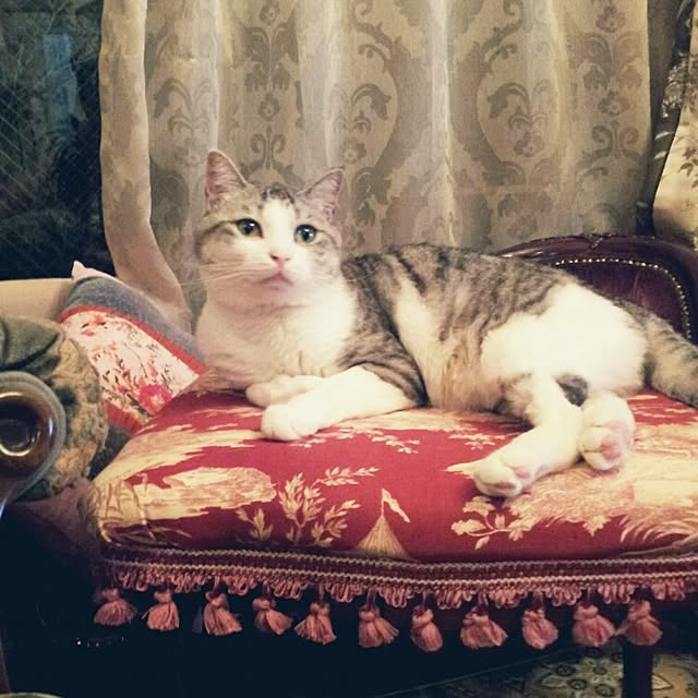emmyyさんの実例写真