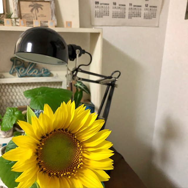 tomoさんの実例写真