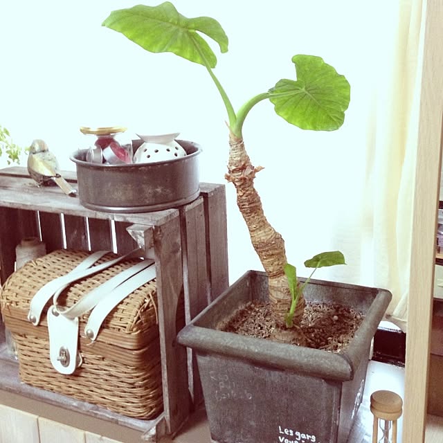 ai.さんの実例写真