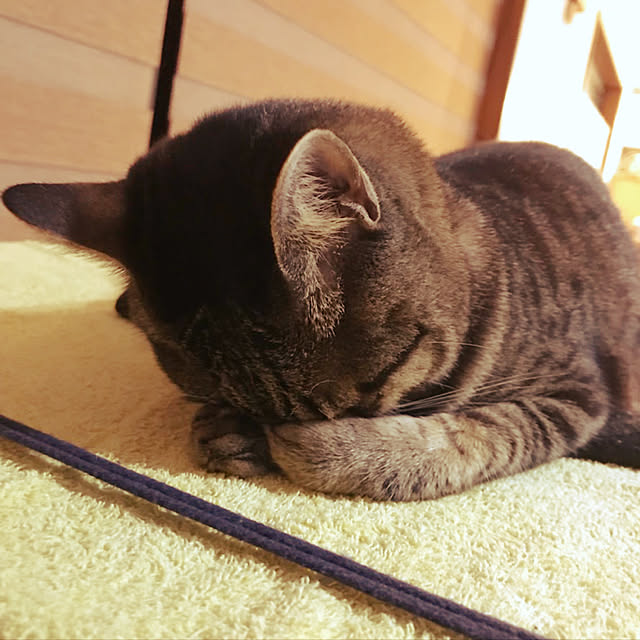maruさんの実例写真