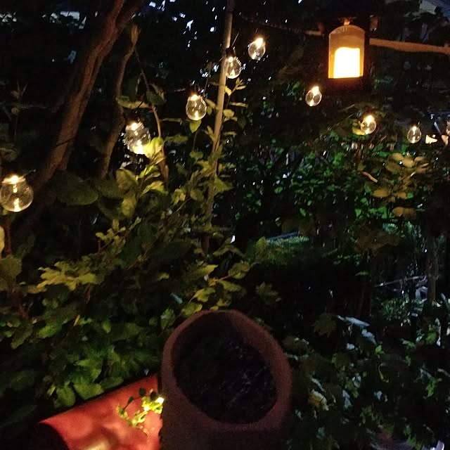 midoriさんの実例写真