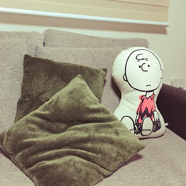 yo-chinさんの実例写真