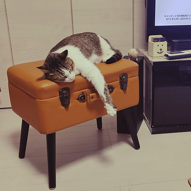 mikamaiさんの実例写真