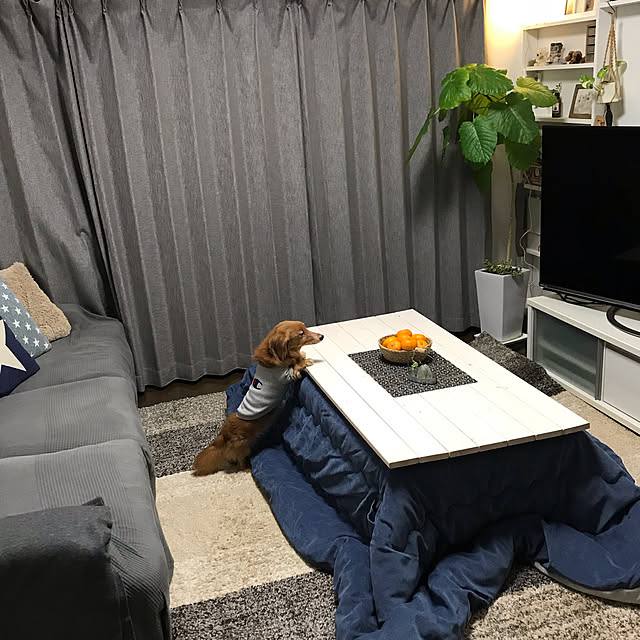 ram_mamaさんの実例写真