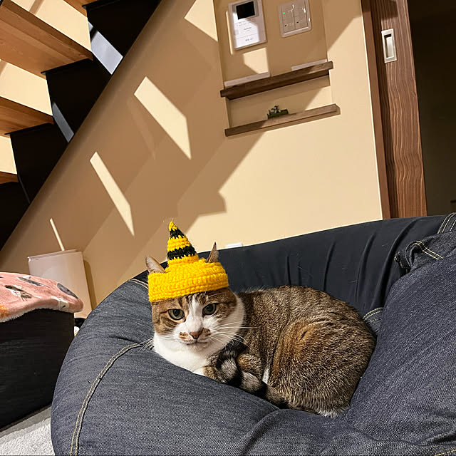 aobahahaさんの実例写真