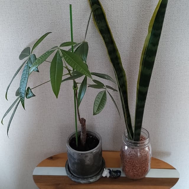ichi1019akiさんの実例写真