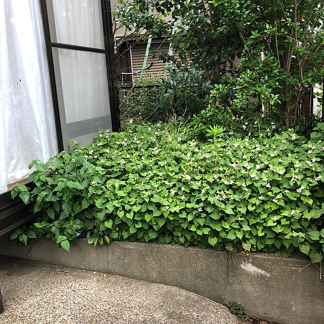 himawari123さんの実例写真