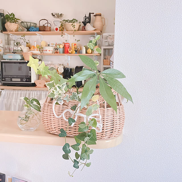 akiko-ovさんの実例写真