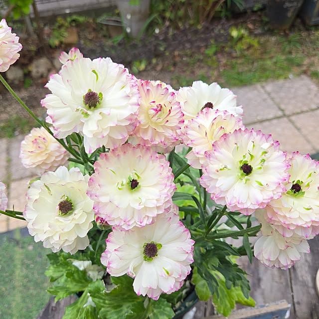 min_nimさんの実例写真