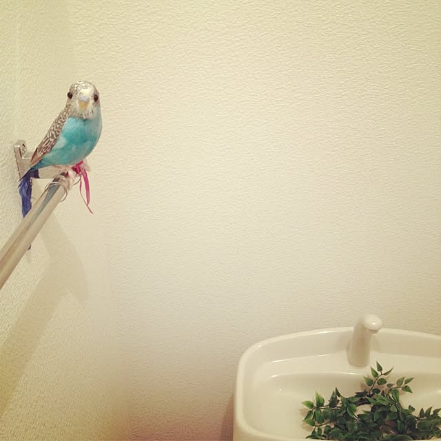 ohariさんの実例写真